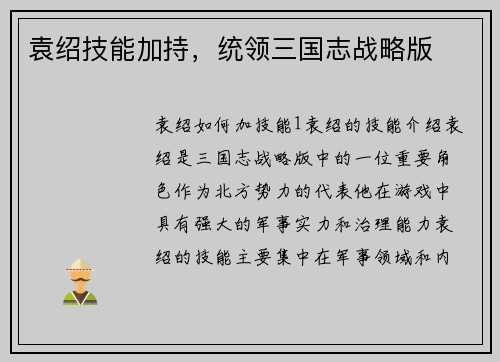 袁绍技能加持，统领三国志战略版